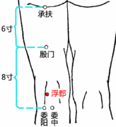 浮郄(Fúxì)穴 - 腿部穴位