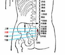 次髎(Cìliáo)穴 - 臀部穴位