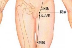 足五里(Zúwǔlǐ)穴 - 臀部穴位