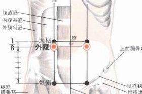 外陵(Wàilíng)穴 - 腹部穴位