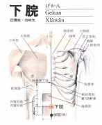 <b>下脘(Xiàwǎn)穴 - 腹部穴位</b>