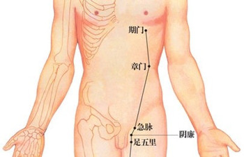 章门(Zhāngmén)穴 - 腹部穴位