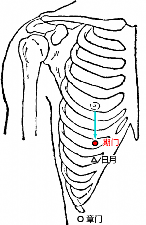 期门(Qīmén)穴 - 腹部穴位