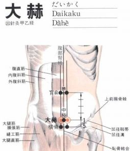 大赫(Dàhè)穴 - 腹部穴位