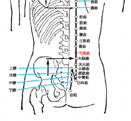 气海俞(Qìhǎishū)穴 - 腹部穴位