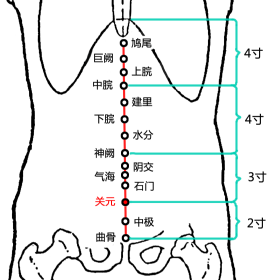 关元(Guānyuán)穴 - 腹部穴位