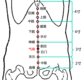 气海(Qìhǎi)穴 - 腹部穴位