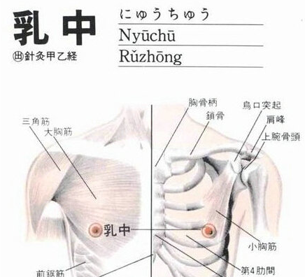 乳中(Rǔzhōng)穴 - 胸部穴位