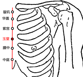 玉堂(Yùtáng)穴 - 胸部穴位