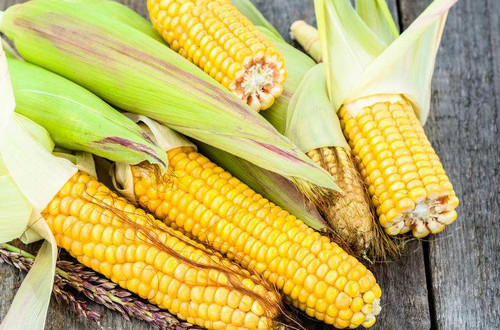 摄取玉米营养的三种美味做法