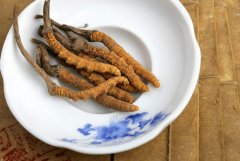 <b>秋季为什么要吃冬虫夏草 秋天吃冬虫夏草的食谱</b>