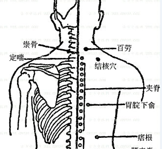 胃脘下俞(Wèiwǎnxiàshū)穴 - 背部穴位