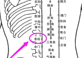 悬枢(Xuánshū)穴 - 背部穴位