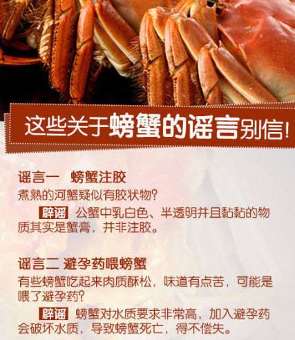 吃大闸蟹的季节到了 五招教你挑螃蟹