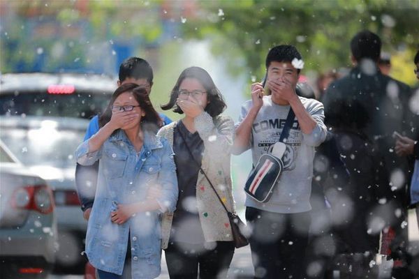 秋季过敏怎么办 教你几招摆脱季节性过敏