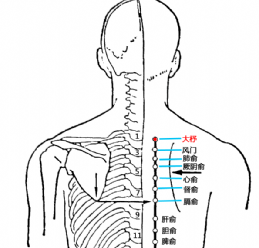 大杼(Dàzhù)穴 - 背部穴位