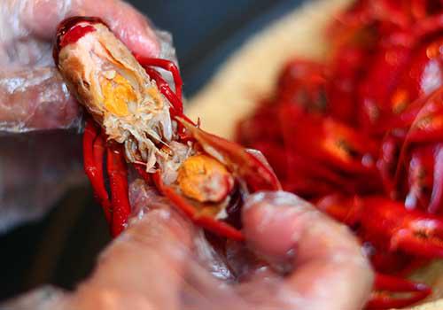麻辣小龙虾的头能吃吗 什么人不能吃麻辣小龙虾