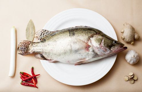 6种鱼汞含量高 最好别给孩子吃