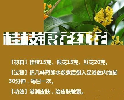 哪些中药泡脚好 中药泡脚有哪些药方