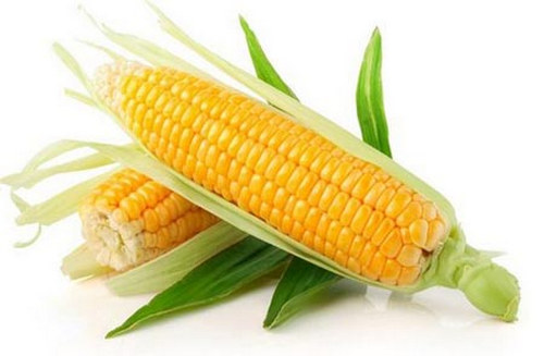 冬天吃玉米好吗 冬天吃玉米能减肥吗