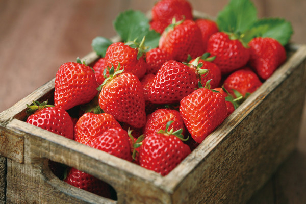 冬季吃草莓好不好 冬季吃草莓有什么好处