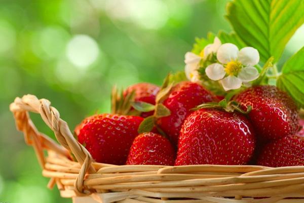 孕妇冬季吃草莓好吗 孕妇吃草莓的注意事项有哪些