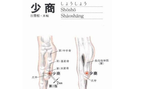 少商(Shàoshāng)穴 - 手部穴位