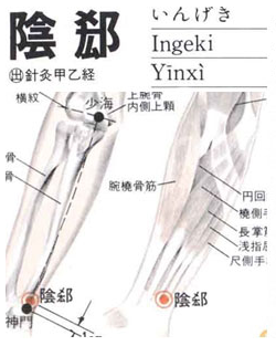 阴郄(Yīnxì)穴 - 手部穴位