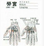 劳宫(Láogōng)穴 - 手部穴位