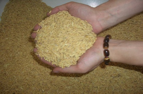 什么食物含锌多 含锌食谱推荐