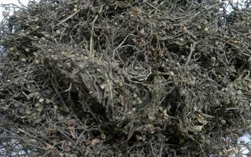 白花蛇草水的功效 白花蛇草水治什么病