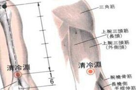 清冷渊(Qīnglěngyuān)穴 - 胳膊穴位