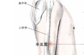 手五里(Shǒuwǔlǐ)穴 - 胳膊穴位