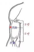 天府(Tiānfǔ)穴 - 胳膊穴位