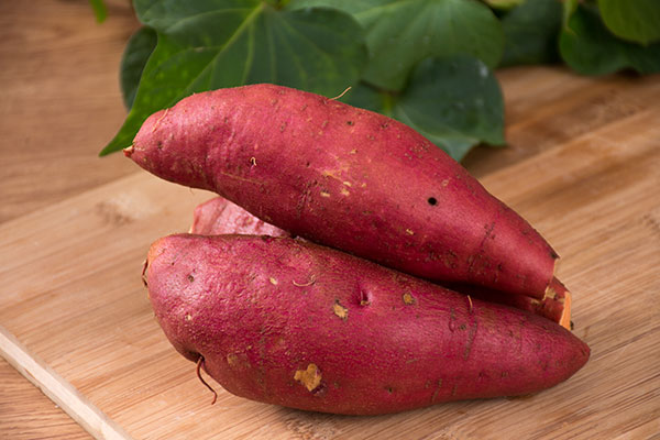 红薯发芽了还能吃吗 红薯的营养价值有哪些