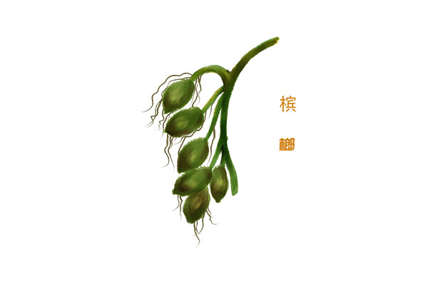 槟榔的危害 槟榔对人体的坏处