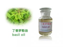 丁香罗勒油