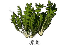 春季吃什么蔬菜好 春季吃香椿的好处？