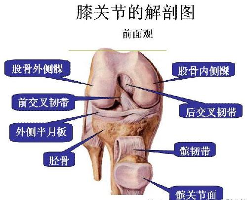 秋季膝盖疼 秋天关节痛怎么办?