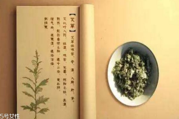 艾草是什么 艾草的好处